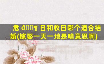 危 🐶 日和收日哪个适合结婚(嫁娶一天一地是啥意思啊)
